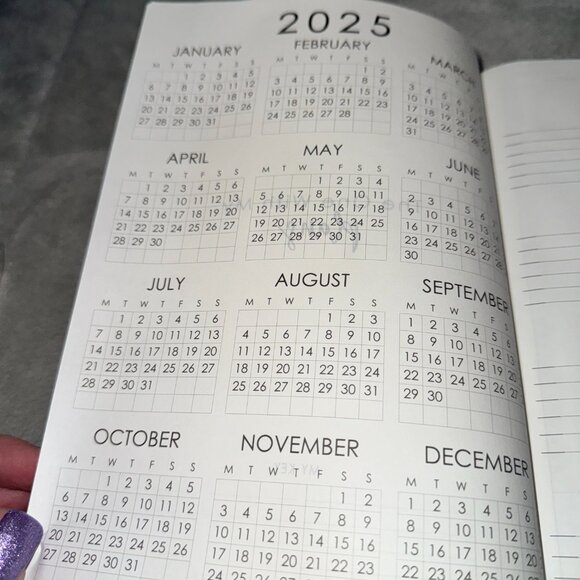 2025 Plans - Horizontal (Planner by Just Scribble) - Picture 14 of 16